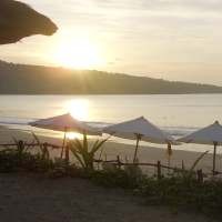 Pencabutan Travel Warning AS Angkat Kinerja Panorama